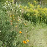 Dom wakacyjny Natur'ailes, Le Hameau Du Quercy, Romantique, Campagne, Piscine Naturelle Frontenac (Lot)