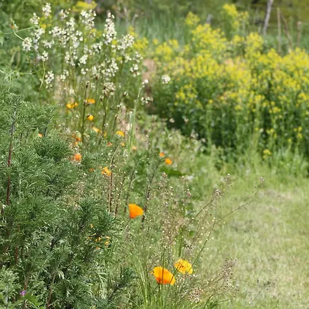 Сasa de vacaciones Natur'ailes, Le Hameau Du Quercy, Romantique, Campagne, Piscine Naturelle Frontenac (Lot)