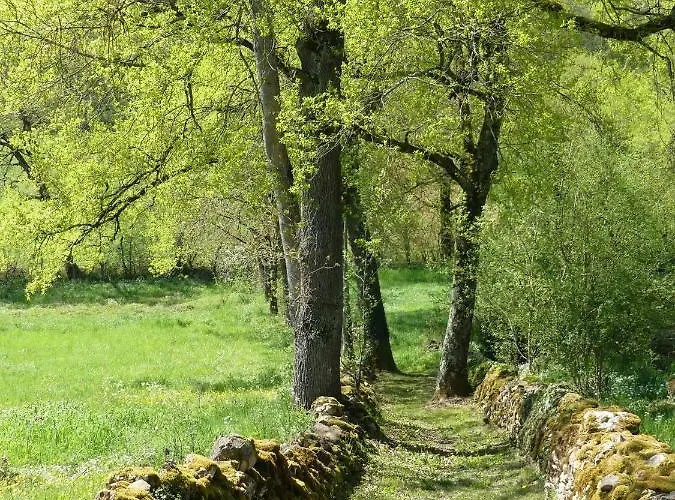 Vakantiehuis Natur'ailes, Le Hameau Du Quercy, Romantique, Campagne, Piscine Naturelle