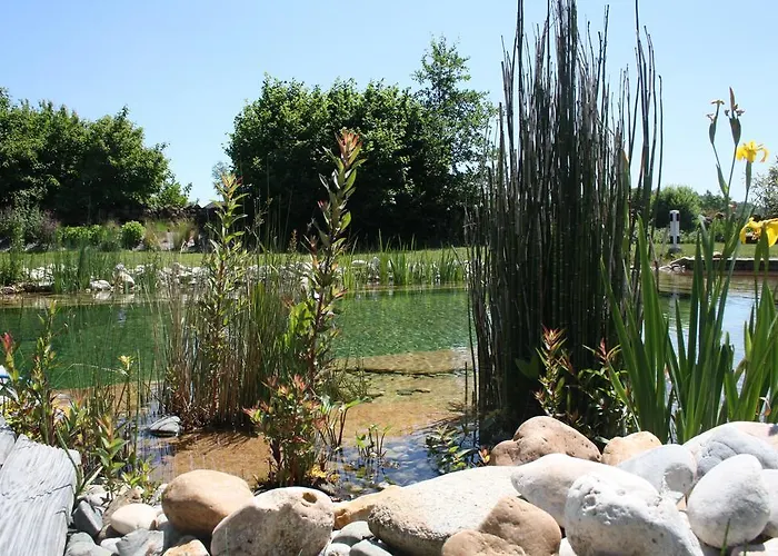 Vakantiehuis Natur'ailes, Le Hameau Du Quercy, Romantique, Campagne, Piscine Naturelle *