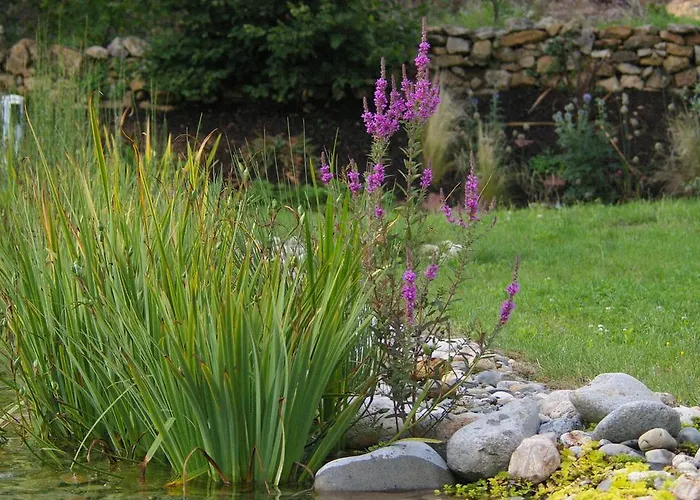 Natur'ailes, Le Hameau Du Quercy, Romantique, Campagne, Piscine Naturelle