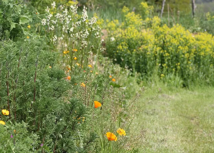 Vakantiehuis Natur'ailes, Le Hameau Du Quercy, Romantique, Campagne, Piscine Naturelle Frontenac (Lot)