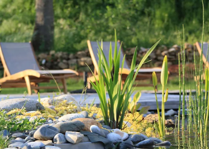 Natur'ailes, Le Hameau Du Quercy, Romantique, Campagne, Piscine Naturelle * Frontenac (Lot)