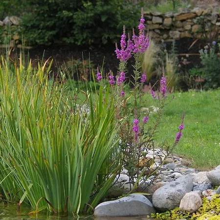Natur'ailes, Le Hameau Du Quercy, Romantique, Campagne, Piscine Naturelle