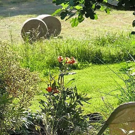 Le Hameau Du Quercy Ferienhaus *